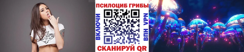 Купить  Светлый  Псилоцибиновые грибы Cubensis 